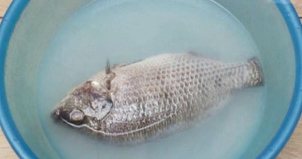 Avatar1765511012505 1765511013121411766752