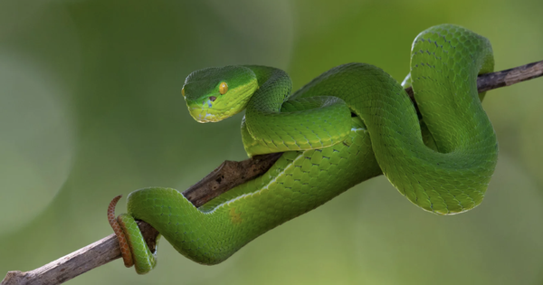 Avatar1765517356807 17655173576011106590740