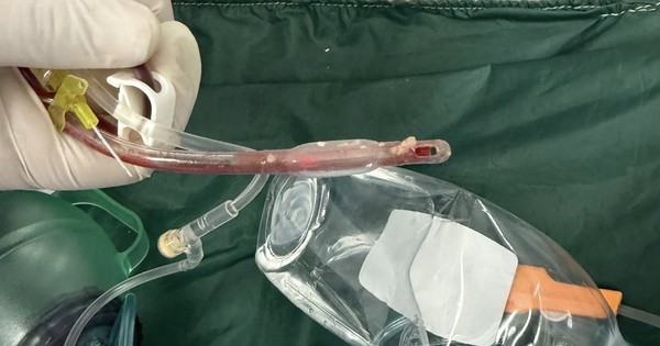 Avatar1765517433073 17655174334801942343302