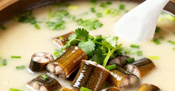 Avatar1765549996963 17655499975951982806871