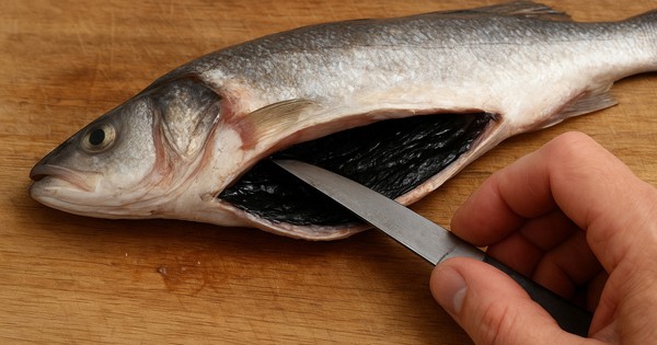 Avatar1765594822801 1765594823175768798539