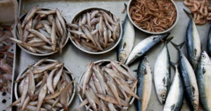 Avatar1765786967464 17657869679261255235062