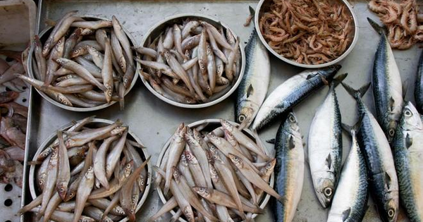 Avatar1765786967464 17657869679261255235062