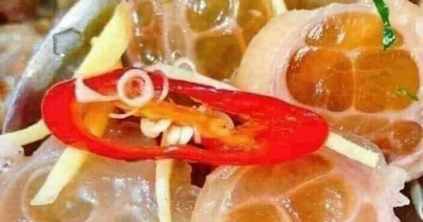 Avatar1765790165143 17657901655081960908352