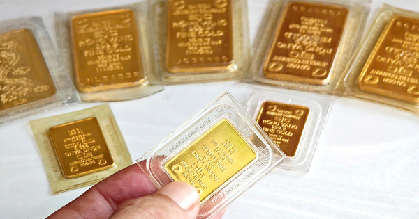 Avatar1765850011110 17658500118501587154495