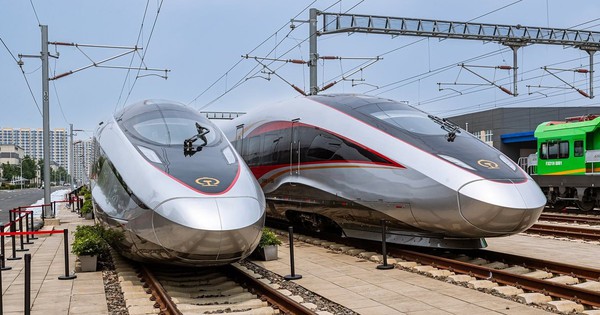 Avatar1765854095641 1765854096002317247831 59 0 687 1200 Crop 17658541153861248005542