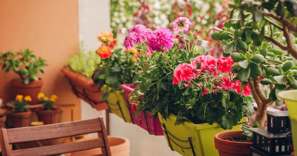 Avatar1765867384992 17658673856811686025143