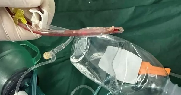 Avatar1765868290005 17658682907681969962632.Webp