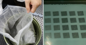 Avatar1765938482130 17659384833271554716668 0 0 642 1226 Crop 17659385058261059944139