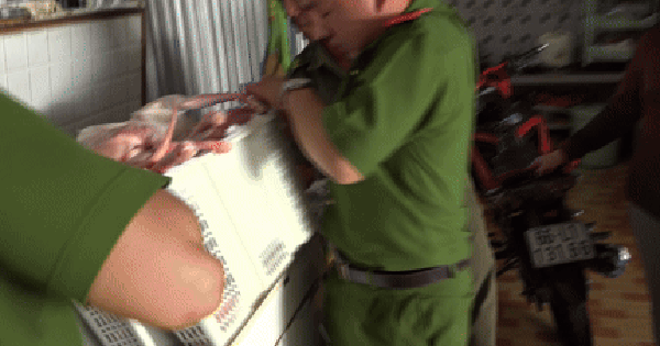 Avatar1765947575209 17659475759551608460954