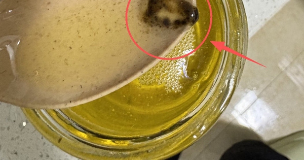 Avatar1766014503557 17660145040472001490538