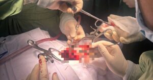 Avatar1766046372448 17660463811621664727602