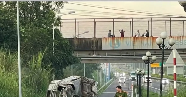 Avatar1766053707784 17660537139211203904558.Webp