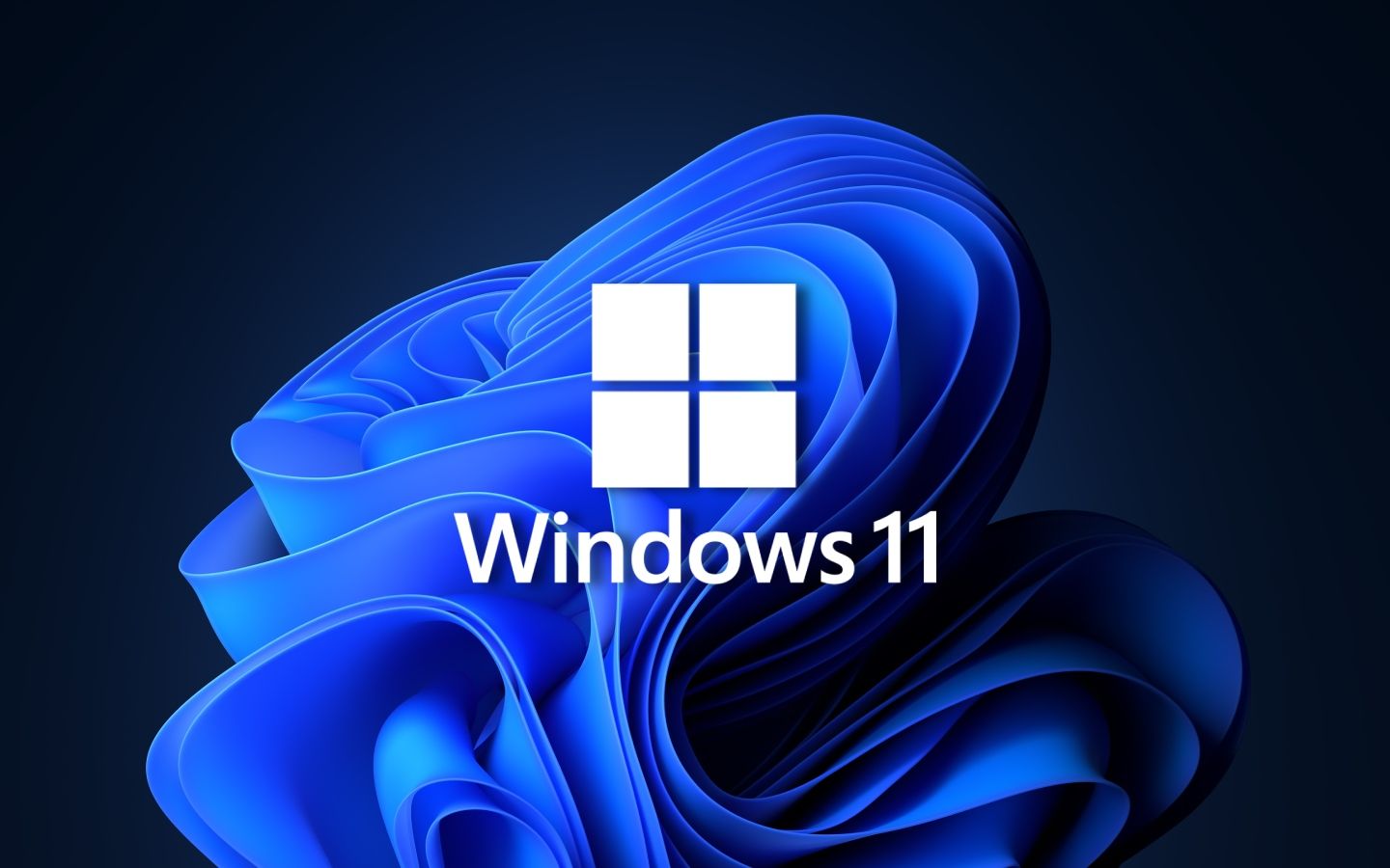 ban cap nhat windows 11 gay man hinh