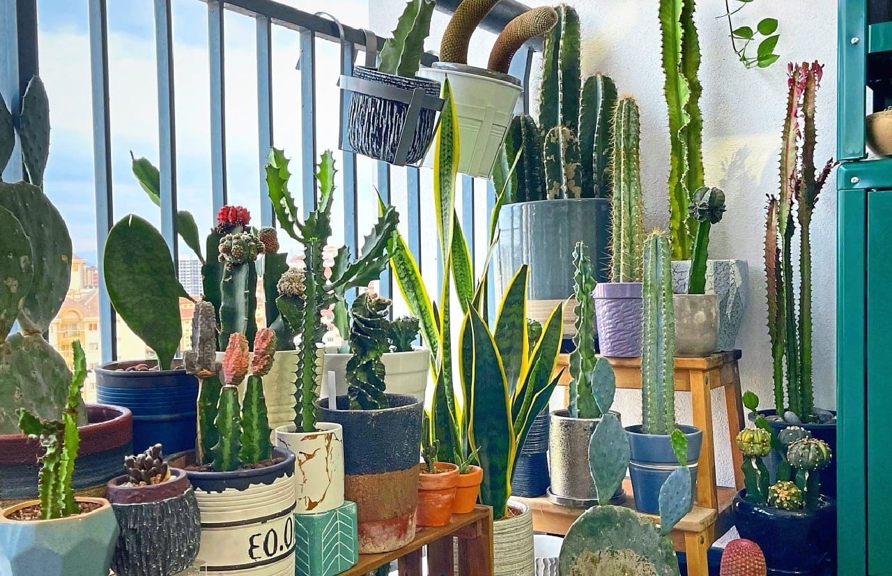 Ban Cong De 3 Thu Nay De Khien Nha Ban Hao Tai Ton Cua Va Hay Benh Tat Om Dau 232457