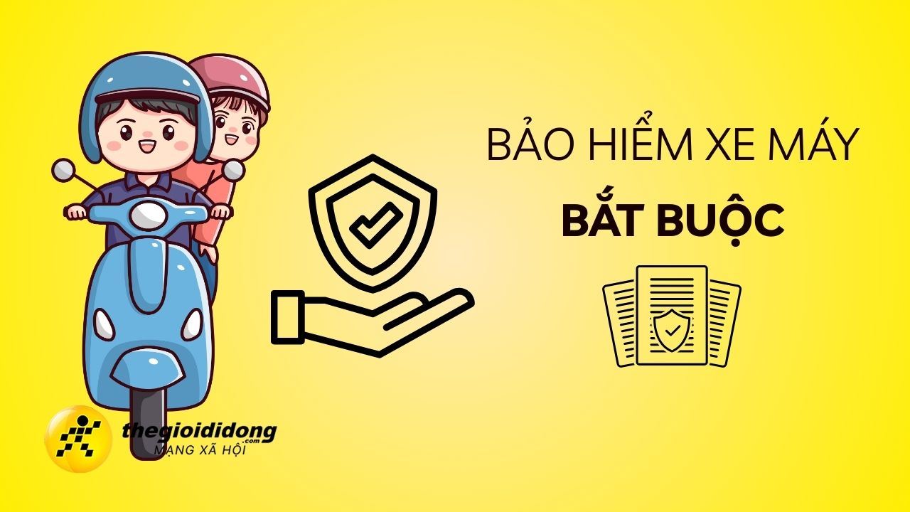 Baohanh639014890739456620