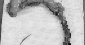 Base64 17561998297491690888415 357 436 937 1363 Crop 1756200117708746610163