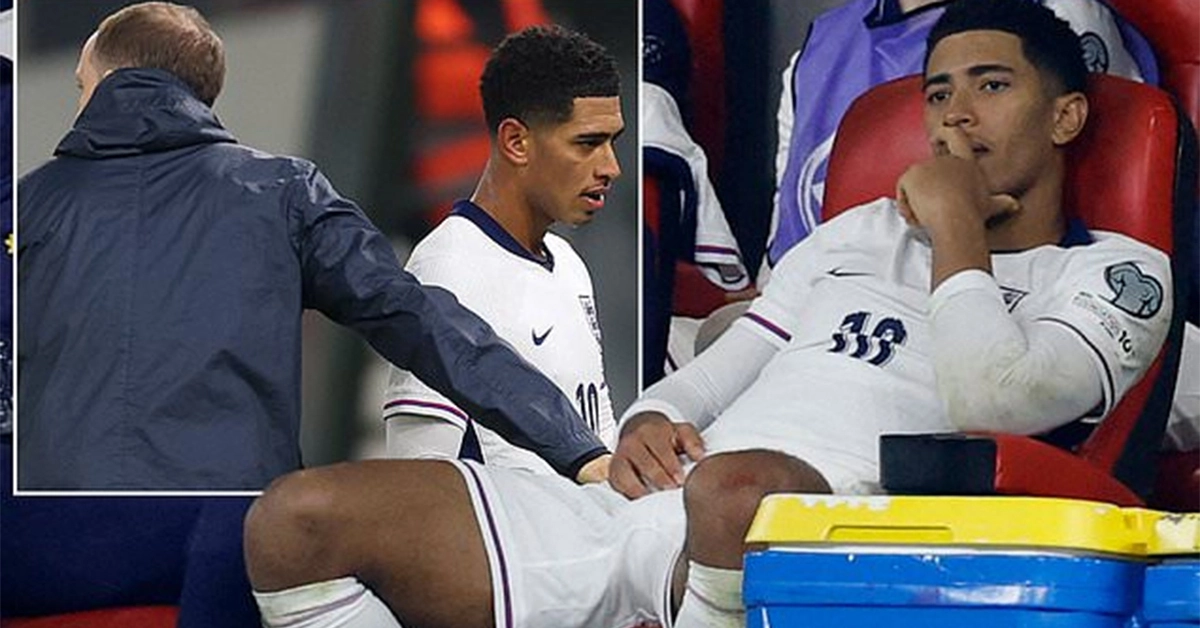 Bellingham Ava 17633501692131744171273 0 0 628 1200 Crop 1763350188638721824562