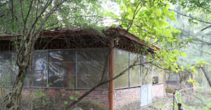 Ben Trong Cong Vien Rong 45Ha Bi Lang Quen Nguoi Dan Khong Dam Cho Tre Vao 3150