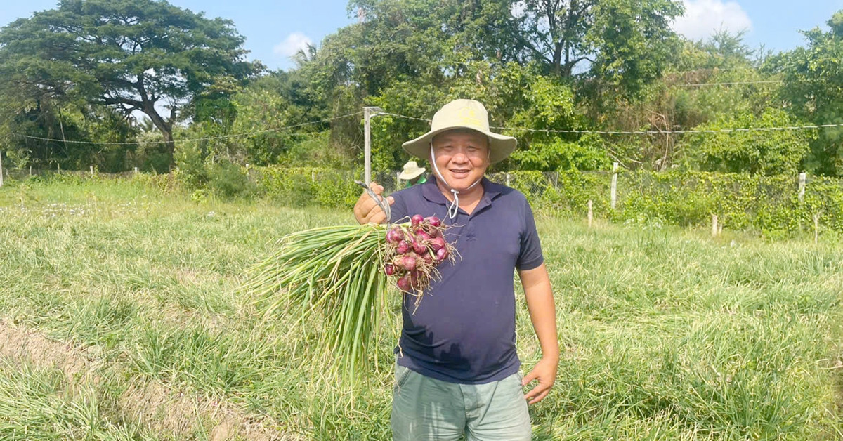 Bo Luong Nghin Usd Giam Doc Nan Ni Vo Ve Que Dua Hanh Tim Cu Cai Vao Sieu Thi 2638