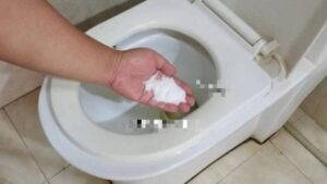 Bo Mot Nam Muoi Vao Bon Cau Meo Don Gian Giup Tiet Kiem Hang Tram Nghin Moi Nam 144237