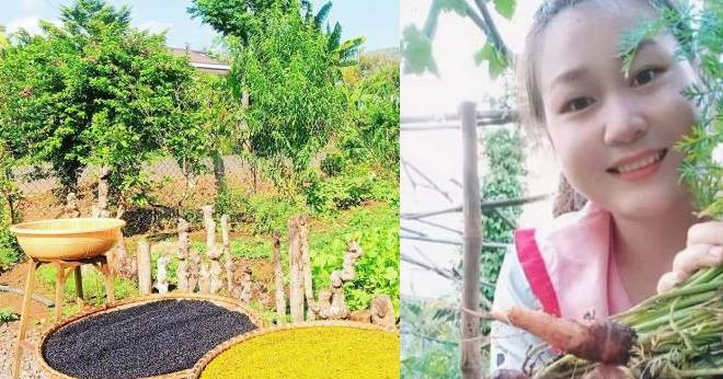 Bo Pho Ve Que Trong Rau 9X Tim Thay Binh Yen Giua Nang Gio Tay Nguyen 2660