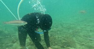 Bo Ra Hang Tram Trieu Nhom Nguoi Tre Miet Mai Trong Rung Duoi Day Bien Co To 2419