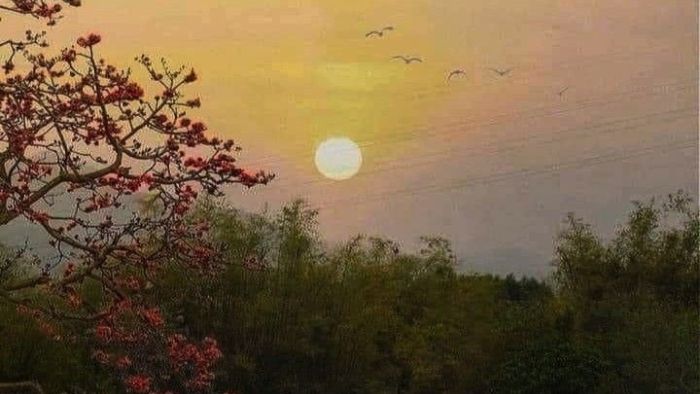 C83218B303A082A72Bae51Da7A54484D 19