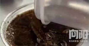 Ca Phe Rac Bot Gian Bat Ngo Gay Sot Gioi Tre To Mo Uong Thu 1587