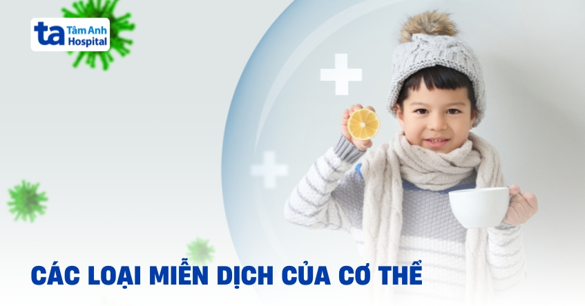 cac loai mien dich trong co the phan loai va co che hoat dong