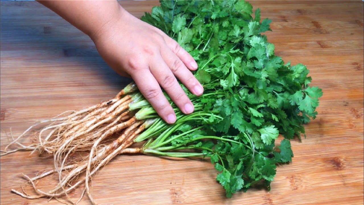 Cach Bao Quan Rau Mui Tuoi Lau Ca Thang Van Xanh Muot Thom Ngon 234645