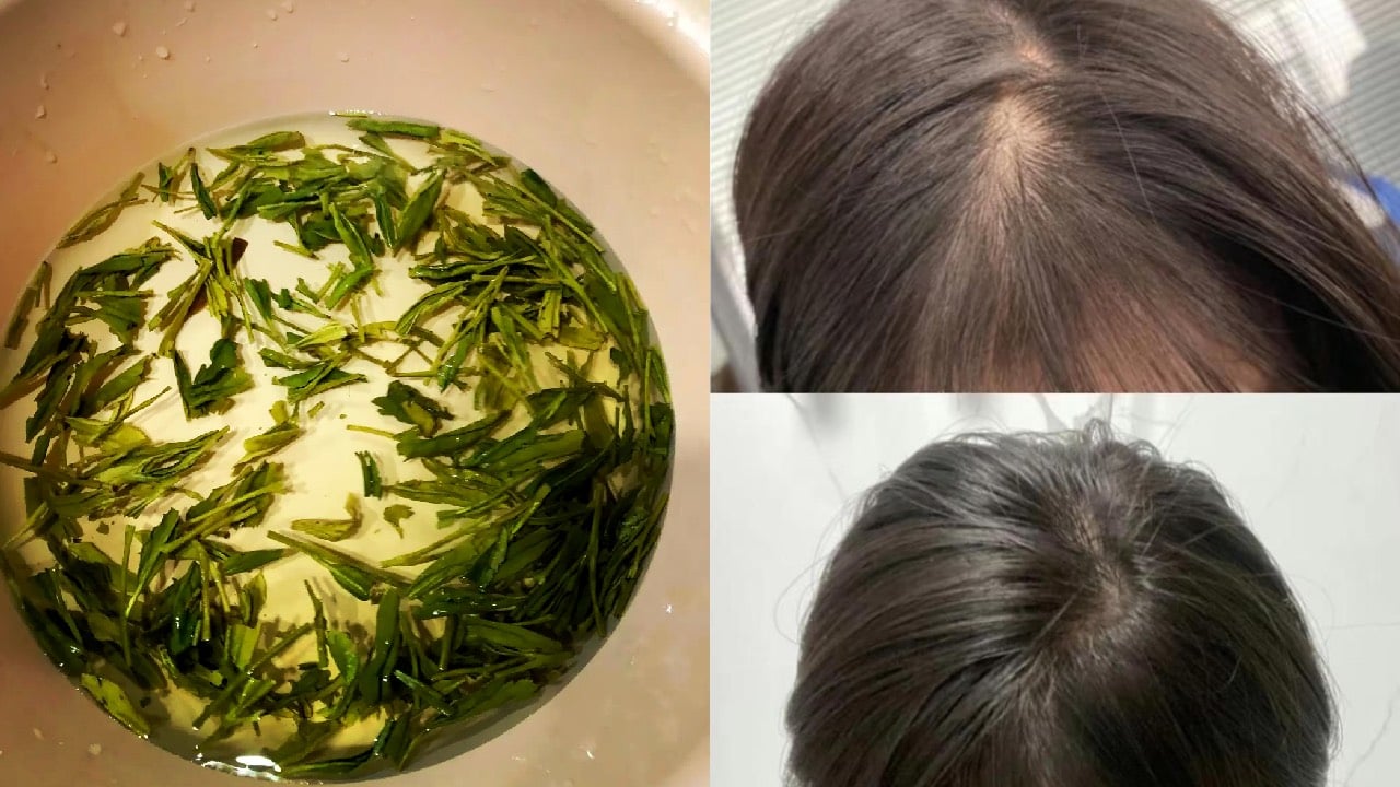 Cach Goi Dau Bang Nuoc Tra Xanh Giup Toc Den Bong Dua Nhau Moc 174917