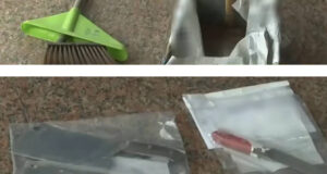 Cai Nhau Voi Me Con Trai Nem 3 Con Dao Tu Tang 14 Xuong Cu Dan Hoang Loan 1832