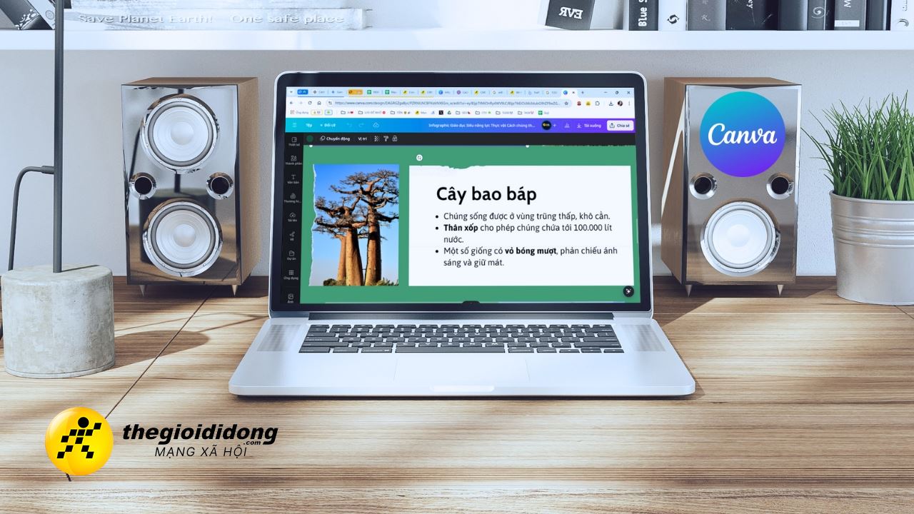 Canva Pdf12638983795259551881