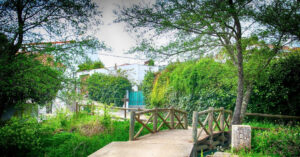 cay cau xuyen quoc gia nao ngan nhat the gioi 2715