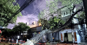 cay co thu do vao nha dan giua mua lon nhieu ho o trung tam da nang mat dien 2425