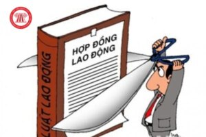 cham dut HDLD 1