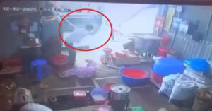 Chong Dung Dao Chem Vo Guc Duoi San Nha Roi Tu Dam Vao Minh 690