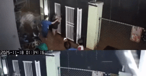 Clip Hang Xom Goi Nhau Chay Lu Giua Dem Khien Nguoi Xem Nghen Long 1843