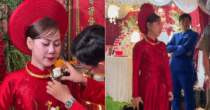 co dau ca mau meu mao vi mat 6 chi vang duoc tang tiet lo tinh hinh hien tai 17