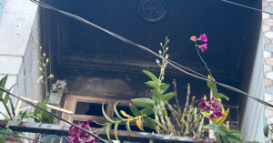 Cong An Tphcm Dieu Tra Vu Chay Lam Be Gai 8 Tuoi Tu Vong 2002