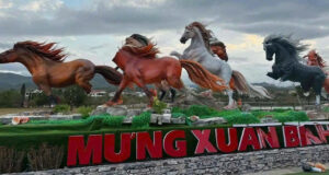 cum linh vat ma dao thanh cong o quang tri bi ke xau chat pha 1171