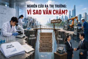 dai hoc thi truong