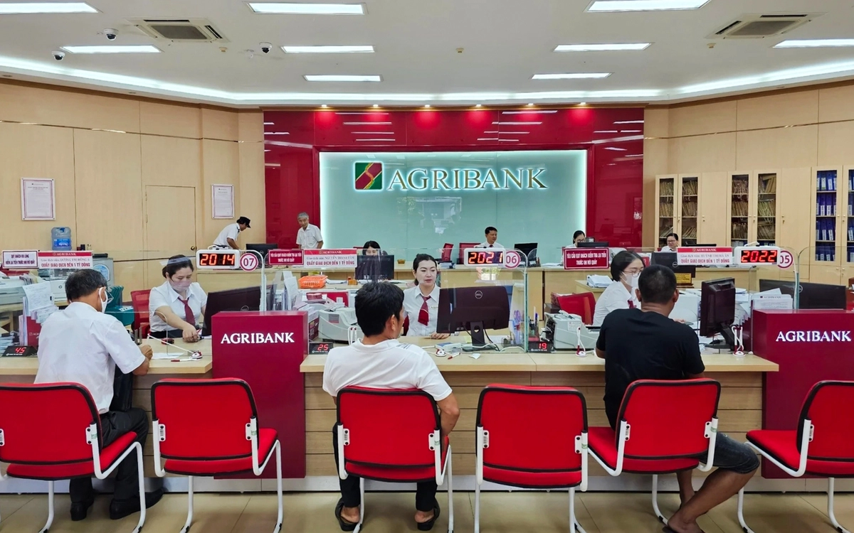 danh sach phong giao dich agribank tai tphcm copy 1773499412090 177349941264772890635 1773542923457
