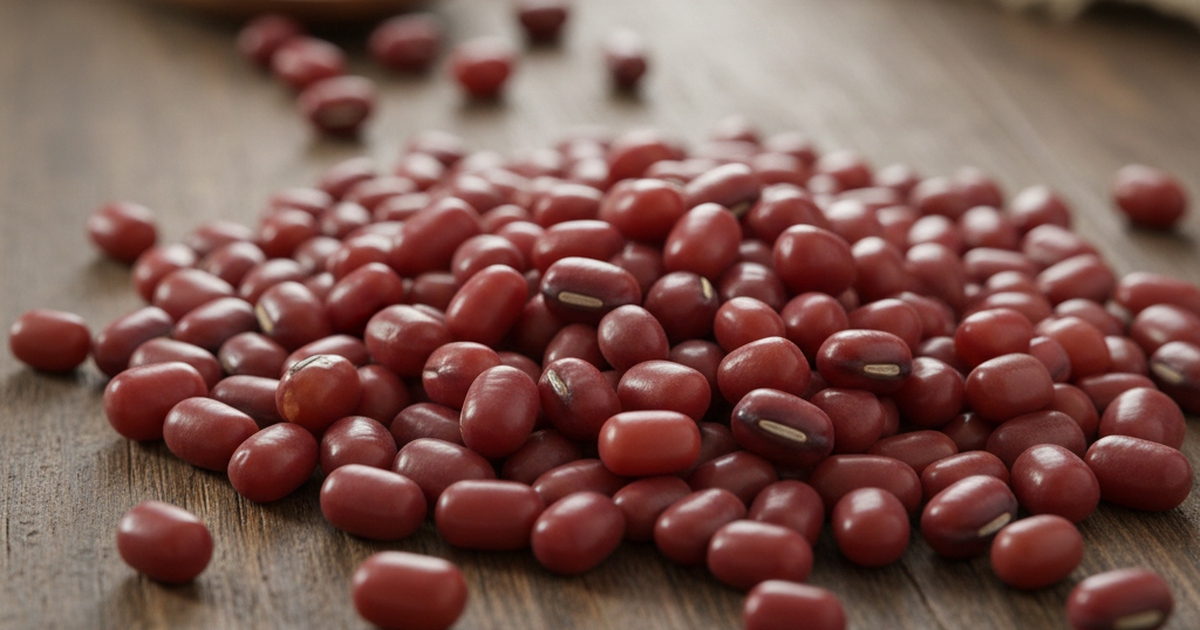 Dau Do 1765727090159231324419 118 0 758 1024 Crop 17657272370012017152984