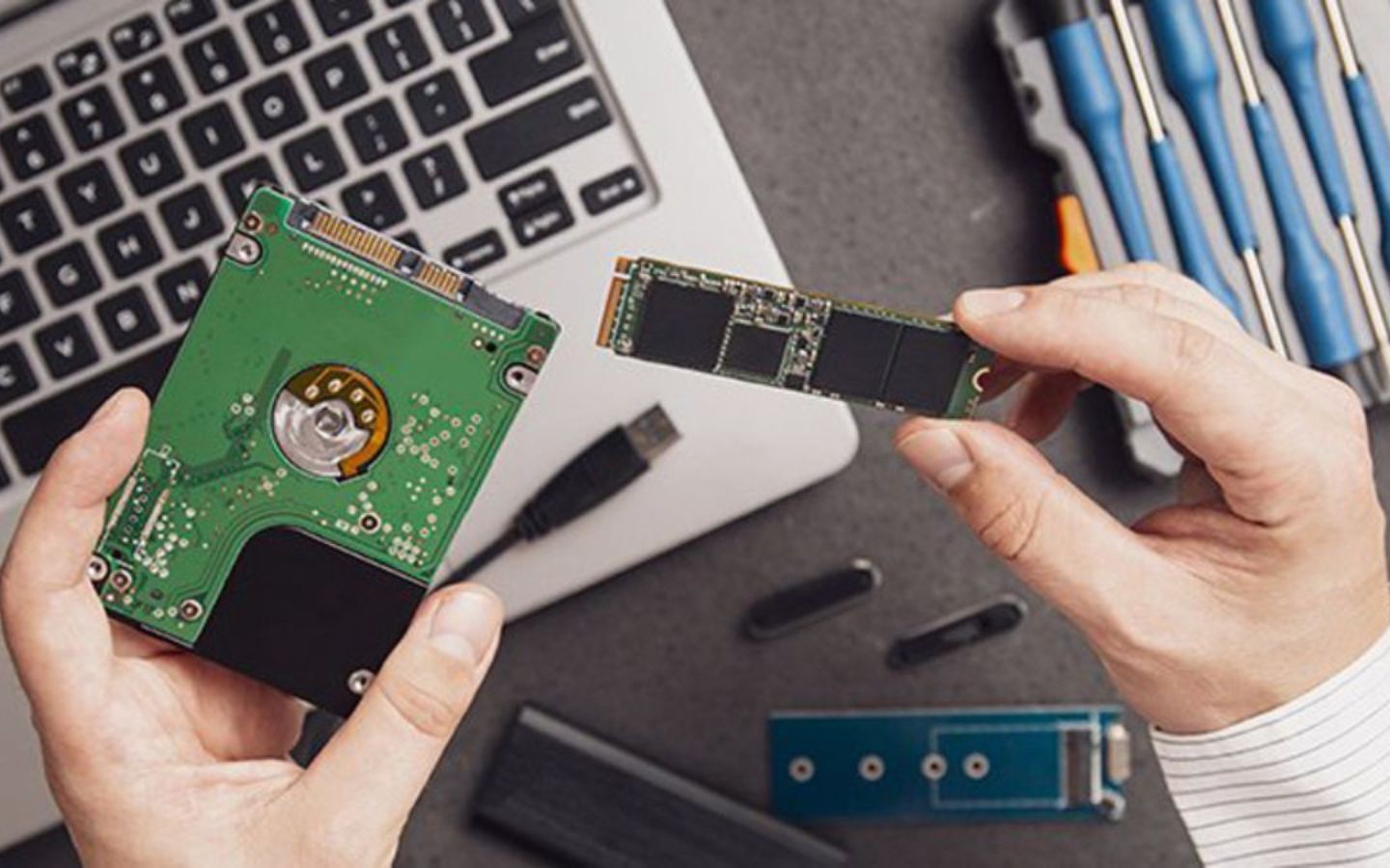 Dau Hieu O Cung Sap Hong