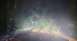 Deo Gia Bac O Lam Dong Sat Lo Nghiem Trong 20 O To Mac Ket 345