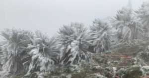 Don Khong Khi Lanh Manh Mien Bac Co Noi Duoi 5 Do 943