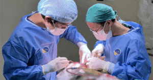 Ekip Phau Thuat Dan Luu Dich Nao Tuy 17643027692422003656099 32 0 782 1200 Crop 17643034472543476649