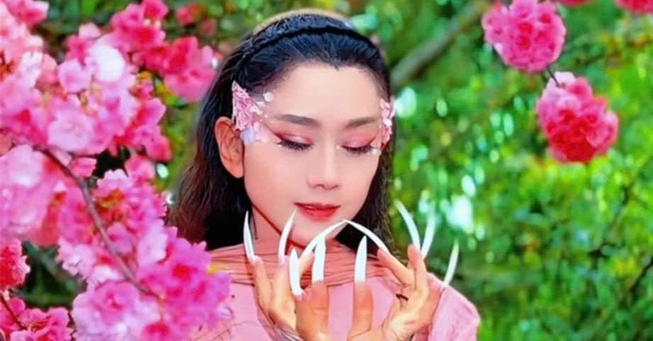 Gia Ve Cao 20 Trieu Dong Dem Dien Cua Duong Le Binh Tai Ha Noi Gay Tranh Cai 1173